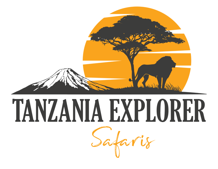 tanzania explorer safaris logo